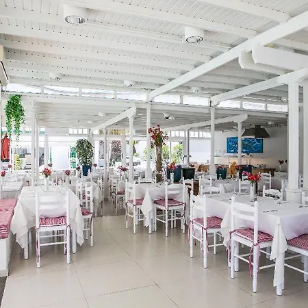 Livvo Gaviotas Apartament Puerto del Carmen (Lanzarote)